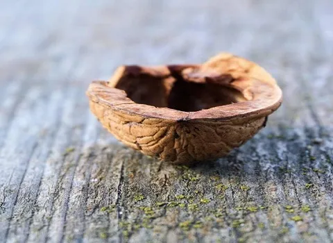 پوست گردو کربن فعال؛ کنترل قند خون لایه بردار ماسک جرم گیر دندان Vitamin