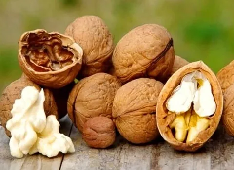 گردو چندلر بذری؛ تقویت استخوان پروتئین فیبر آنتی اکسیدان