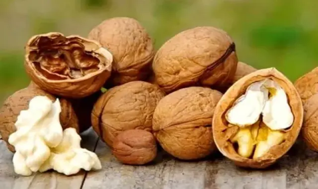 گردو چندلر بذری؛ تقویت استخوان پروتئین فیبر آنتی اکسیدان