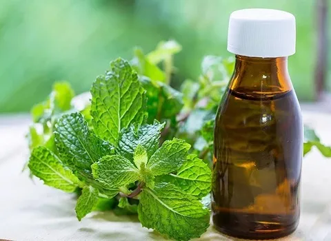 خرید عرق نعنا ارومیه + بهترین قیمت