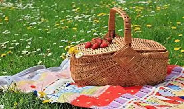سبد حصیری دسته دار؛ بافت مارپیچ مشبک جنس برگ درخت خرما بامبو خیزران