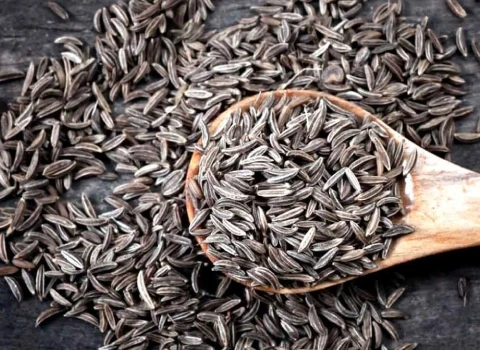 قیمت زیره سیاه کیلویی