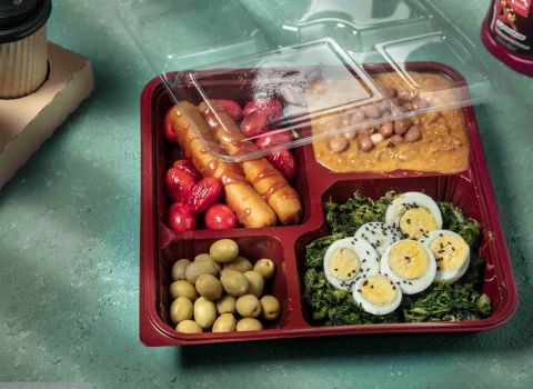 خرید و قیمت ظروف یکبار مصرف چند قسمتی