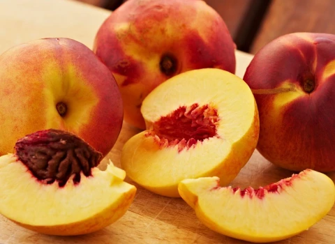 بهترین شلیل امروز مشهد + قیمت خرید عالی