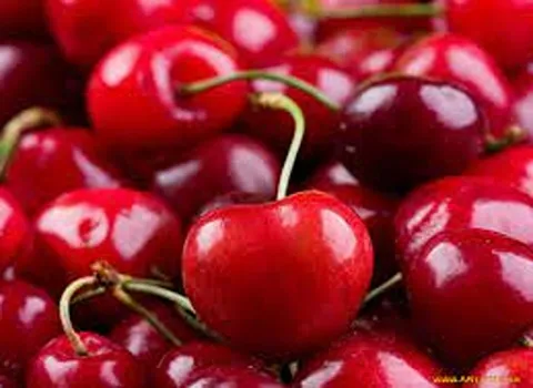 خرید و قیمت روز گیلاس در میدان تهران