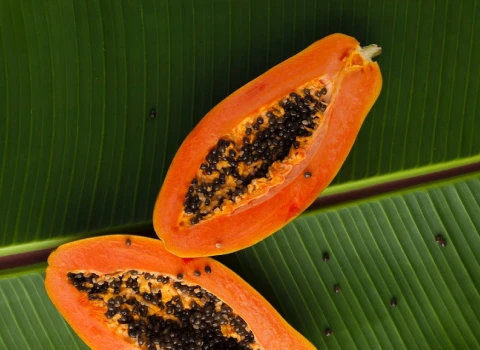 قیمت میوه پاپایا در تهران