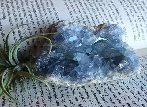 سلستین سمنان (سلستیت) بنفش 75 عیار مقاوم حرارتی کاهش استرس