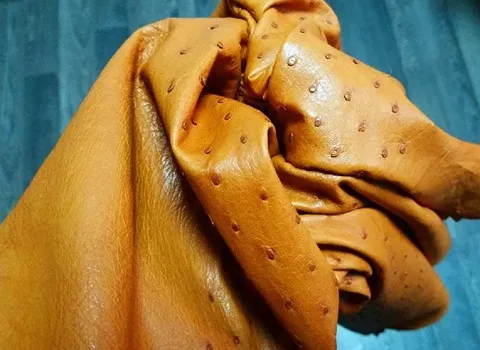 قیمت چرم شترمرغ