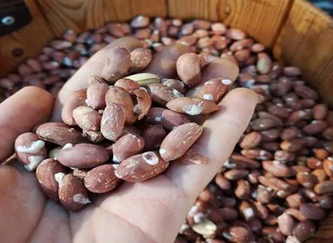 تجهیزات آشپزخانه صنعتی در تهران؛ جنس استیل سبک وزن Equipment