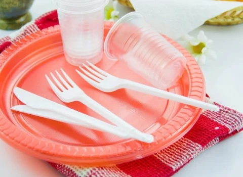 ظروف یکبار مصرف اهواز؛ طلقی مقوایی درب دار 2 نوع شفاف رنگی