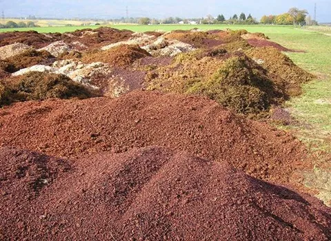 تفاله انگور خوراک دام | خرید با قیمت ارزان