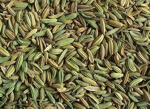 قیمت خرید انواع زیره سبز + تست کیفیت