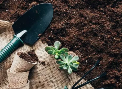 خاک باغچه؛ ارگانیک سنگین جذب آب بالا حاوی مواد مغذی