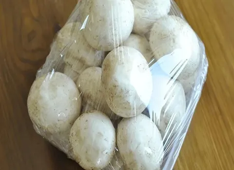 نایلون بسته بندی قارچ؛ ضخامت 20 40 میکرون ابعاد متنوع حفظ تازگی