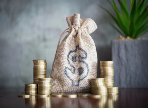 آشنایی با مهارت های پولساز برای خانم ها که نمی دانستید؟