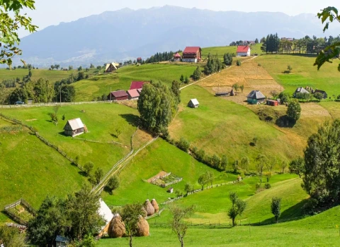 15 ایده شغل پردرآمد در روستا + 6 نکته طلایی برای موفقیت بیشتر در کارآفرینی در روستا