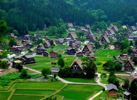 رمز و رازهای کارآفرینان روستایی موفق و آشنایی با تجربیات آنها