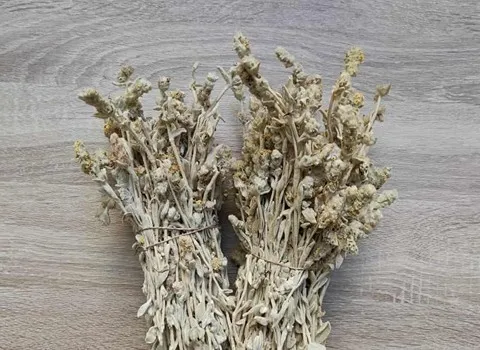 قیمت خرید چای کوهی یونانی + خواص، معایب و مزایا