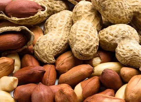 بادام زمینی پوسته دار؛ نمکی فلفلی سرکه ای حاوی انواع Vitamin