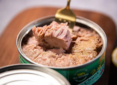 خرید و قیمت جدیدترین انواع تن ماهی