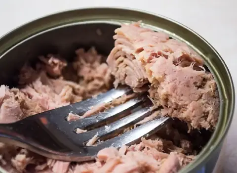 کنسرو تن ماهی؛ هوور گیدر مسقطی وزن 180 گرم حاوی فسفر امگا3