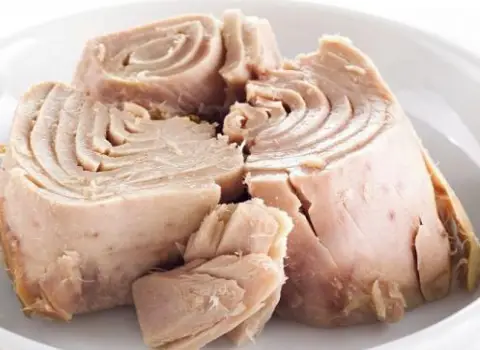 قیمت خرید کنسرو تن ماهی بدون روغن + تست کیفیت