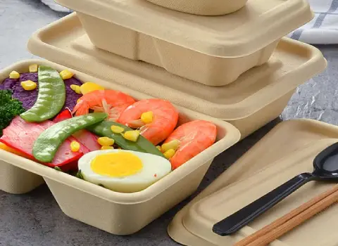 ظروف یکبار مصرف گیاهی اصفهان؛ بشقاب لیوان دارای استقامت بالا Isfahan