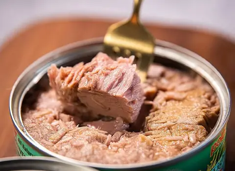 قیمت کنسرو تن ماهی + پخش تولیدی عمده کارخانه