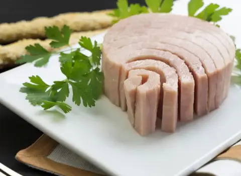 تن ماهی صادراتی + قیمت خرید، کاربرد، مصارف و خواص