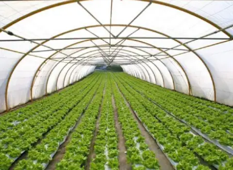 بهترین قیمت خرید نایلون گلخانه در تبریز