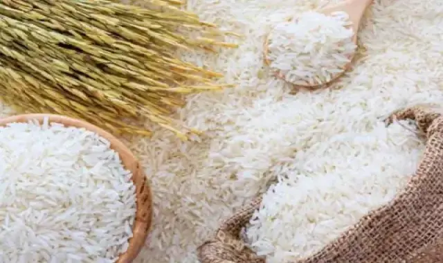 برنج طارم محلی درجه یک فریدونکنار؛ استخوانی کرم 2 کشت