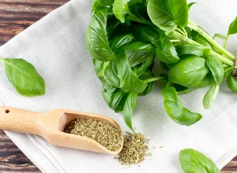 کاربرد سبزی ریحان خشک شده + قیمت خرید