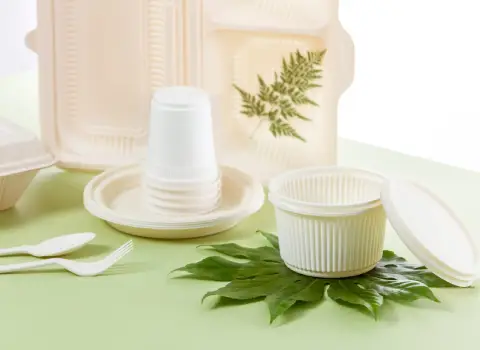 ظروف یکبار مصرف گیاهی در اصفهان؛ فاقد مواد سمی حاوی الیاف نشاسته گندم