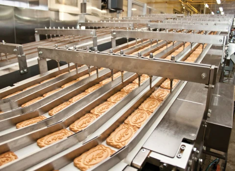 راه اندازی خط تولید با درامد تضمینی | آموزش صفر تا صد