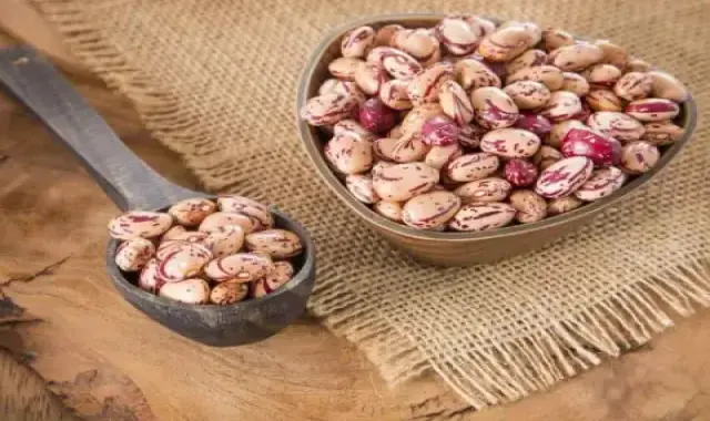 خرید لوبیا چیتی تازه + قیمت عالی با کیفیت تضمینی