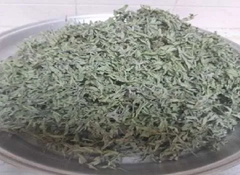 پونه خشک در بارداری؛ طبع گرم تقویت سیستم ایمنی بدن کاهش وزن