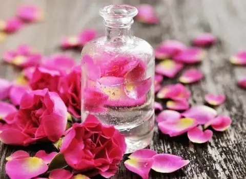 گلاب دو آتیشه قمصر؛ ضد التهاب 2 طبع (گرم خشک) درمان یبوست