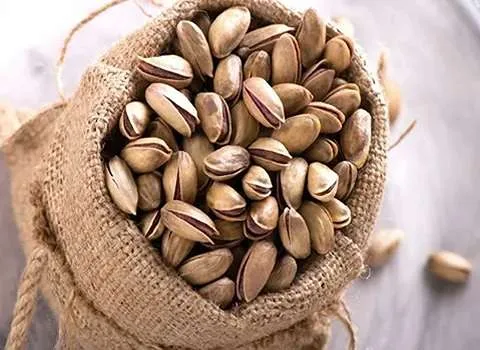 پسته کوهی شیراز (بنه) خشک تازه پاکتی فله ای Shiraz