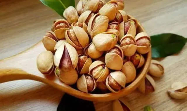 پسته قاین؛ فندقی کله قوچی کم خونی 3 رنگ سبز قرمز قهوه ای crispy
