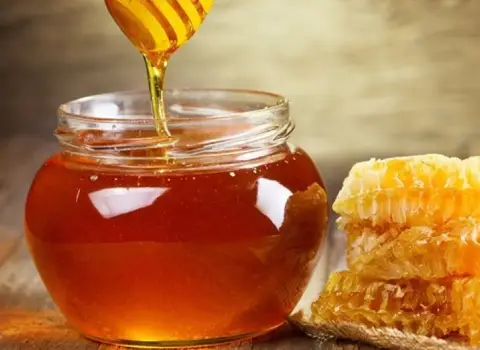 عسل گون کوهی؛ دارای آنتی اکسیدان درمان سوختگی زخم