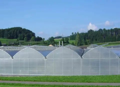 خرید نایلون گلخانه در رشت + قیمت عالی