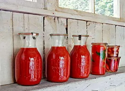 قیمت رب گوجه روژین شیشه ای + پخش تولیدی عمده کارخانه