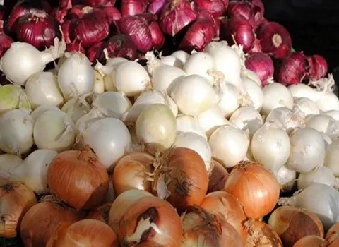 خرید بهترین انواع پیاز با قیمت عالی