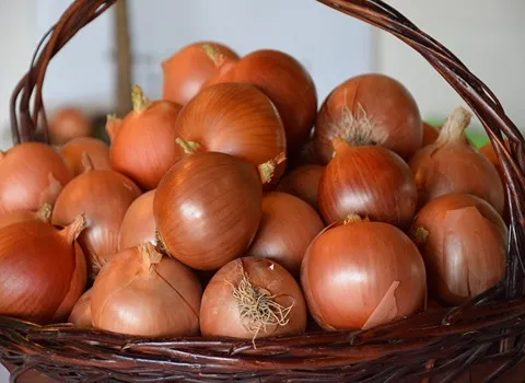 قیمت خرید پیاز طلایی + فروش عالی