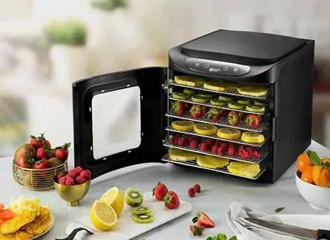 دستگاه میوه خشک کن؛ خانگی صنعتی دارای بدنه پلاستیکی استیل