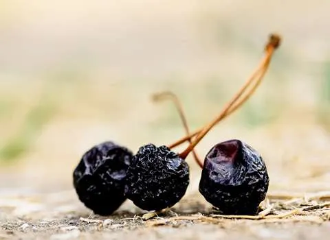 بهترین قیمت خرید آلبالو خشک آذربایجان در همه جا قم مشهد رشت تهران