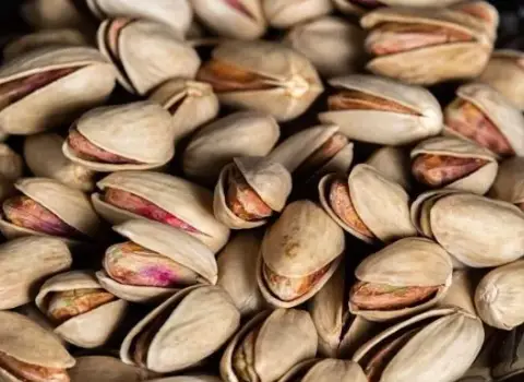 پسته اکبری کیلویی خام درجه یک و بررسی مشخصات ظاهری آن