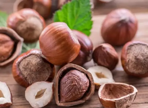 مغز فندق خام + قیمت خرید، کاربرد، مصارف و خواص