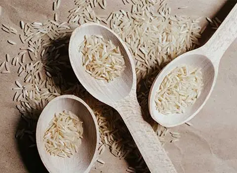 برنچ چمپا | فروشندگان قیمت مناسب برنج چمپا