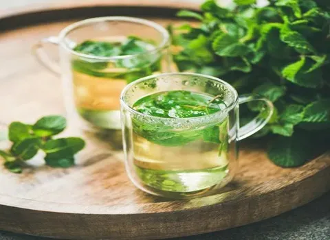 خرید عرق نعناع اعلاء + قیمت عالی